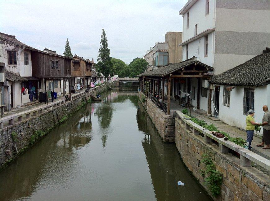 动物帮帮忙保卫家园